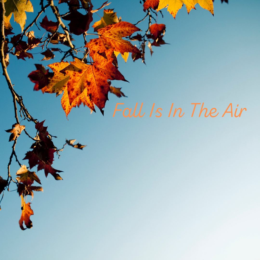 Bring The Scents Of Fall Into Your Home