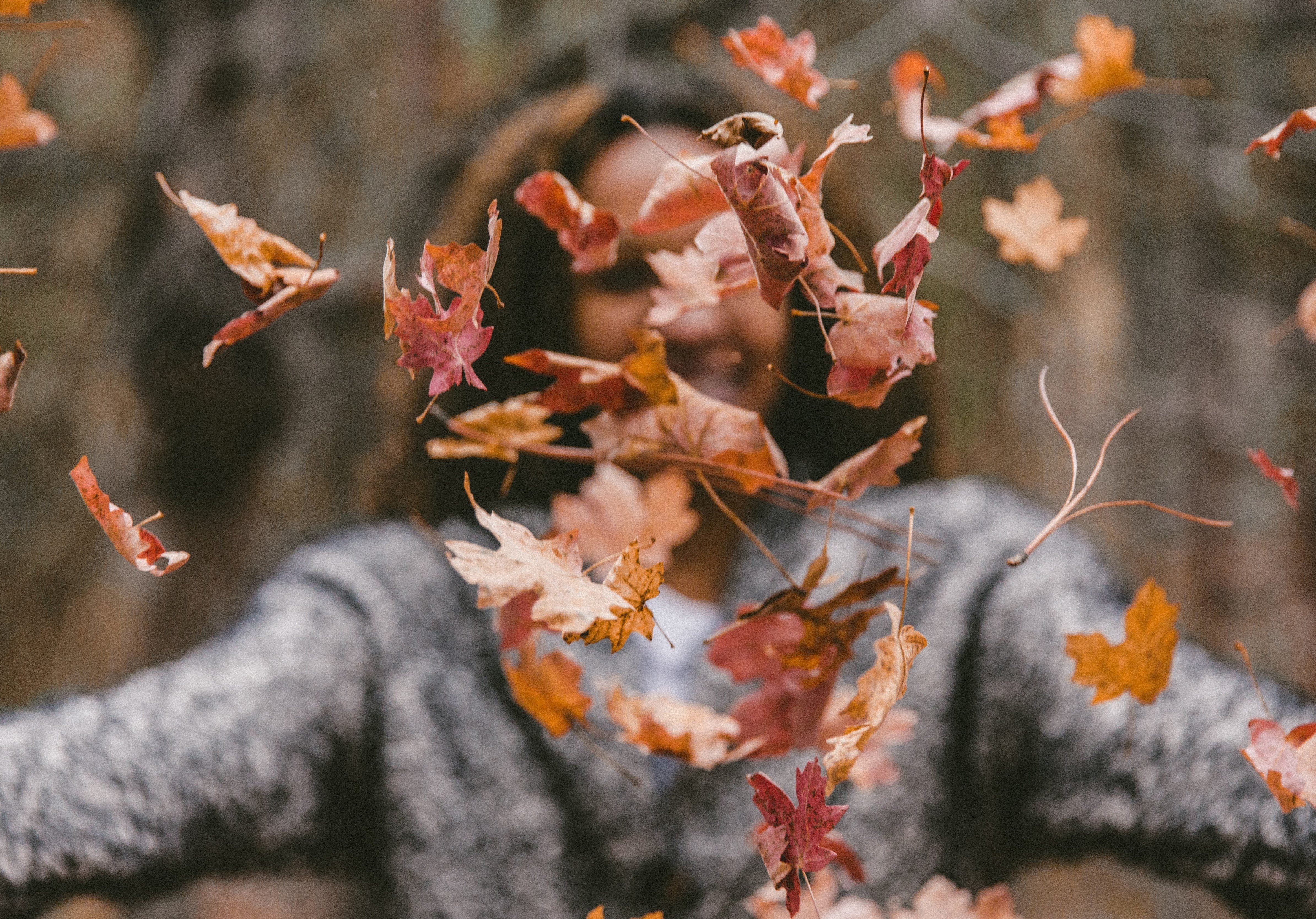 Pumpkin Spice and Everything Nice!
