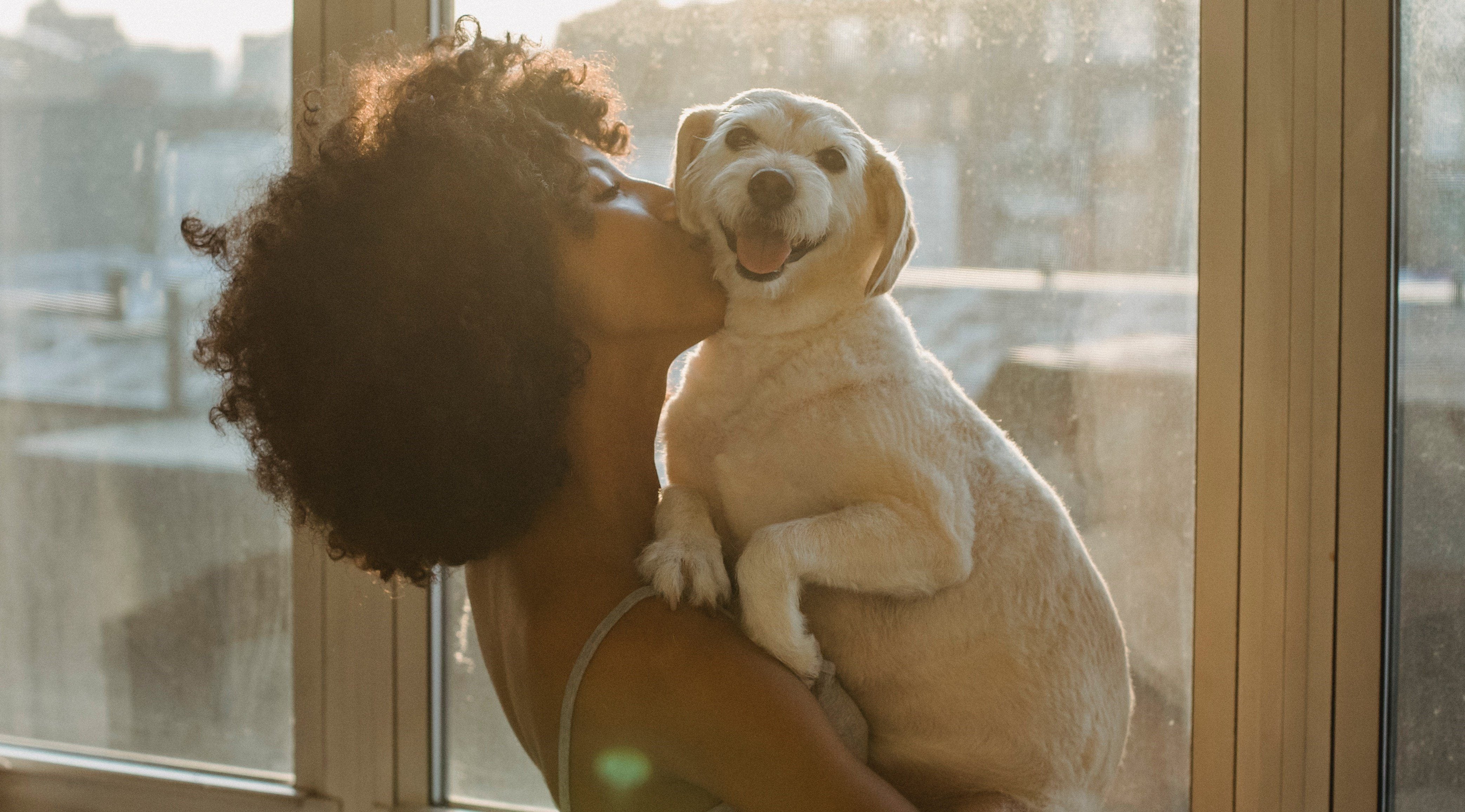 Soy Candles Are Pet Approved!