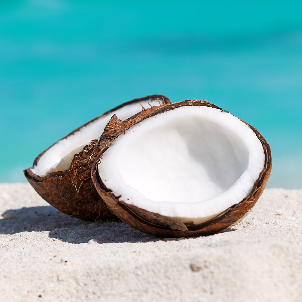 Caribbean Coconut