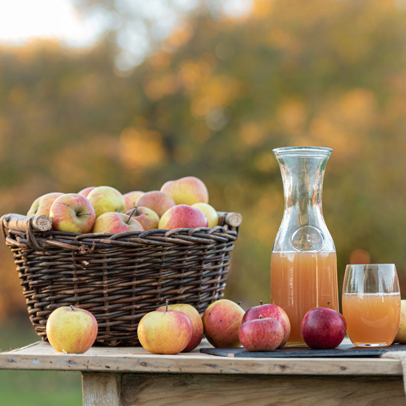 Apple Orchard