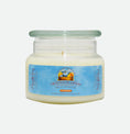 Load image into Gallery viewer, Frosted Pumpkin Soy Candle Meredith Bay Candle Co 10.0 Oz 
